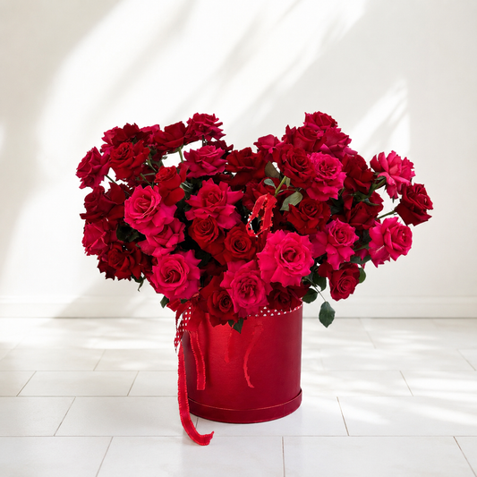 Crimson Blush Royale