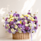 Lavender bliss