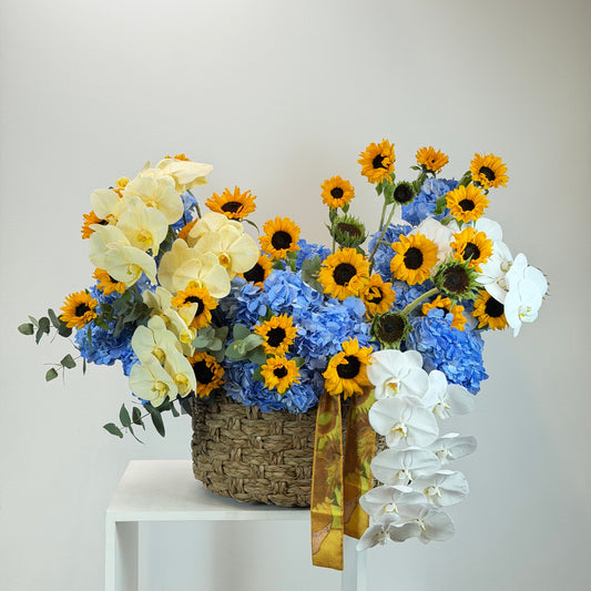 Dream Land Luxury Box