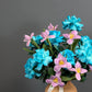 Turquoise Whisper