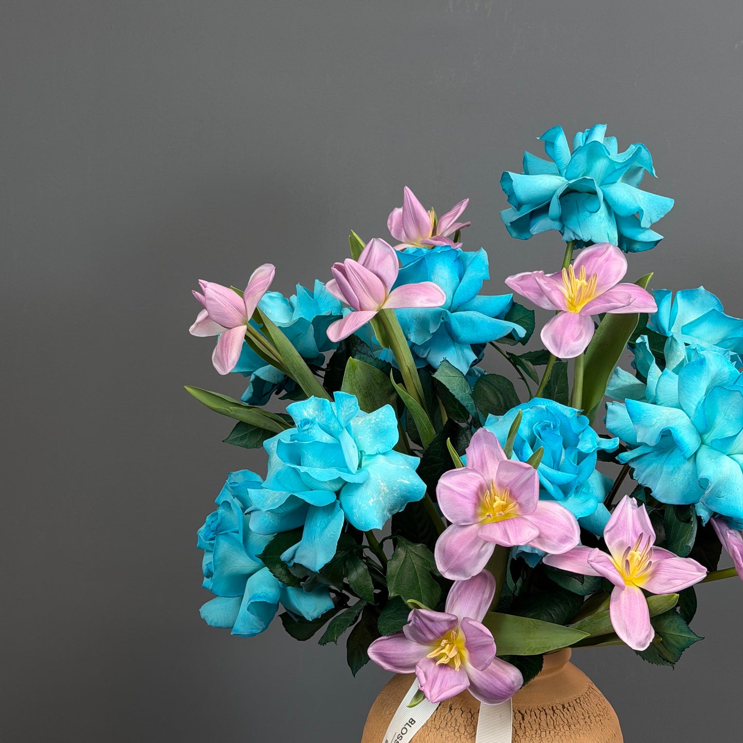 Turquoise Whisper