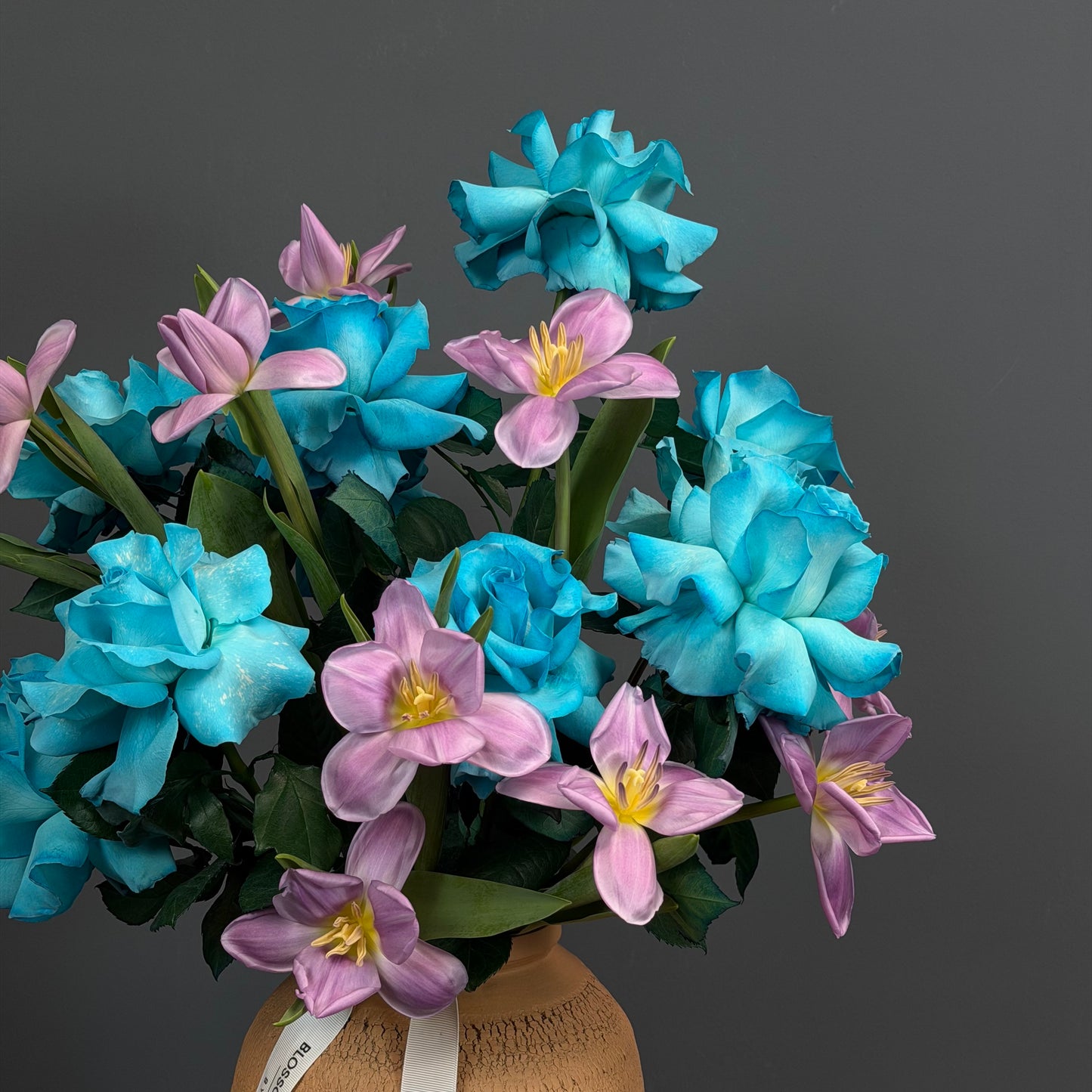 Turquoise Whisper