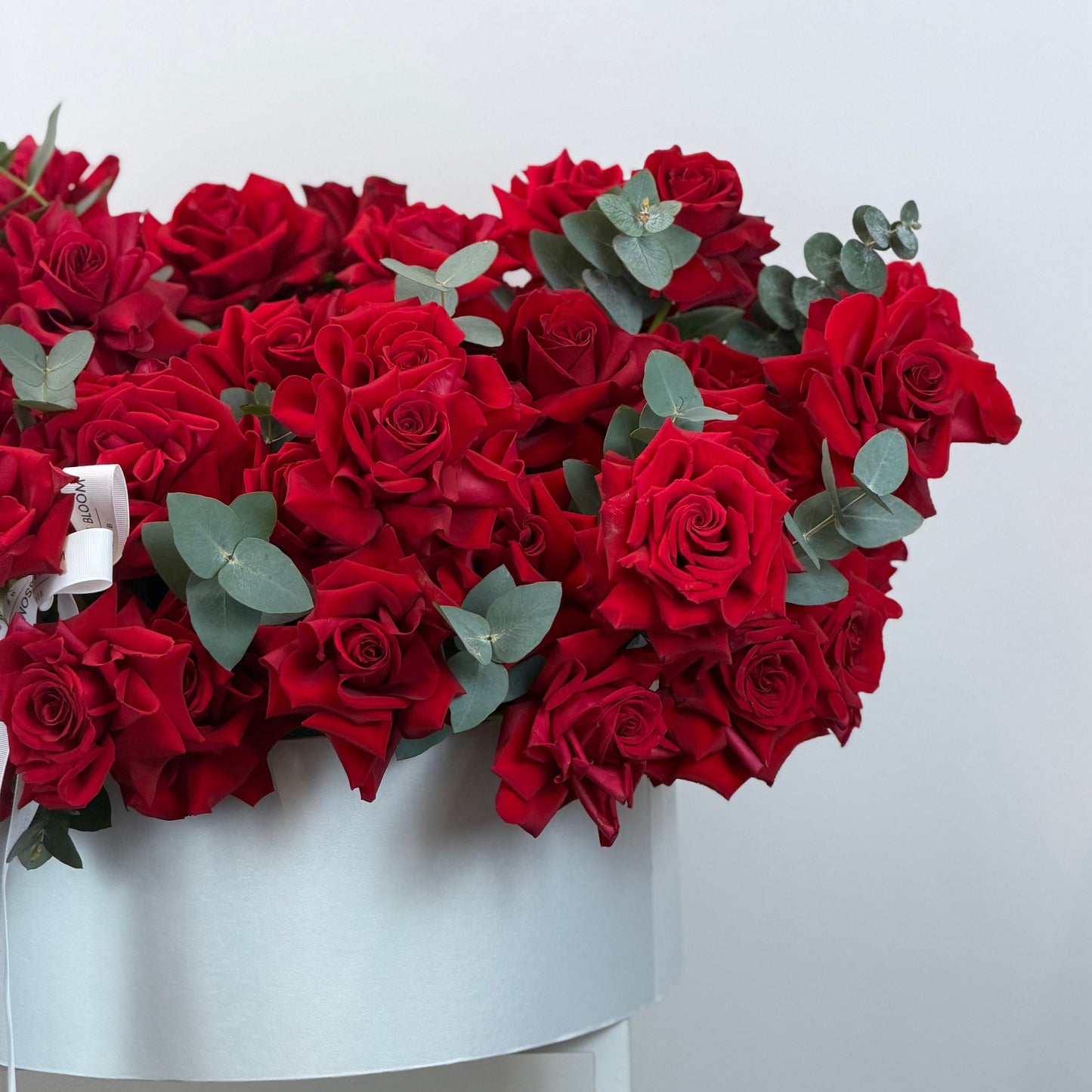 Timeless Red Passion