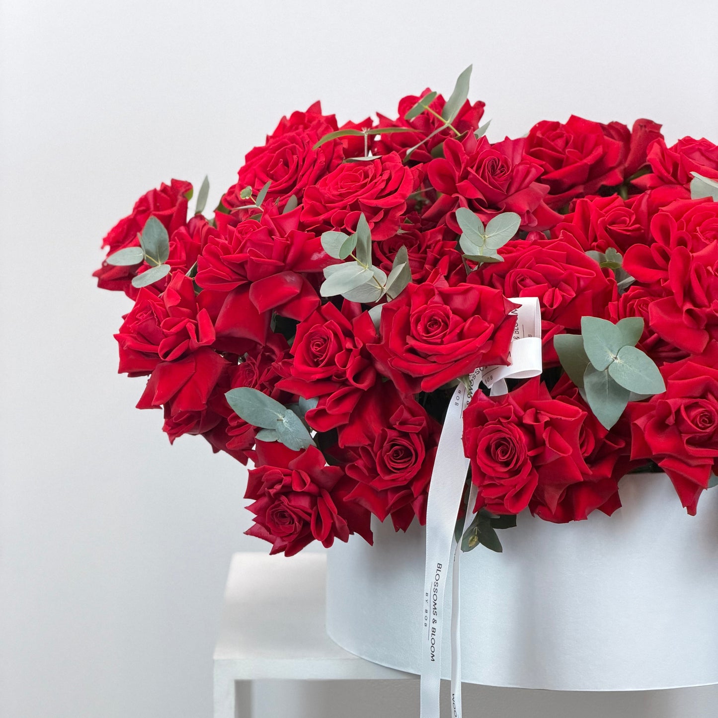 Timeless Red Passion