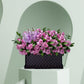 Garden delight box