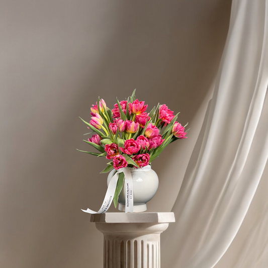 Crimson Tulip Symphony