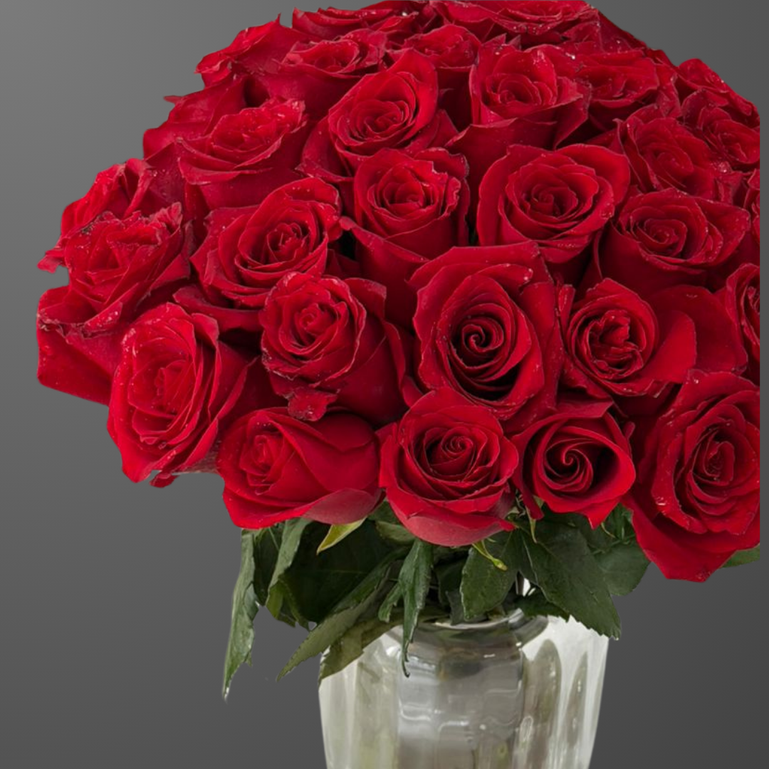 Royal Ruby Roses Vase