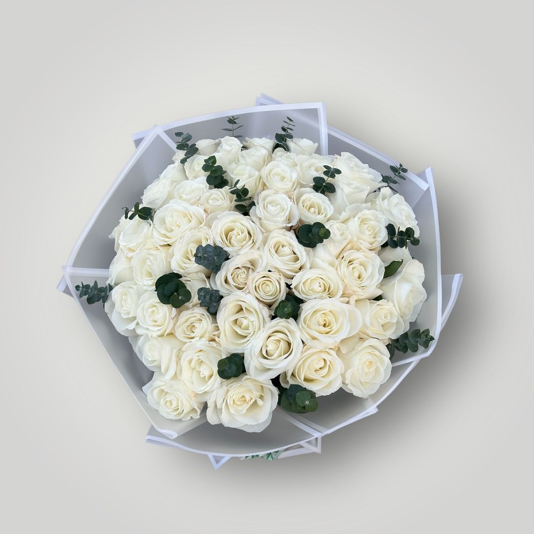 White Rose Harmony